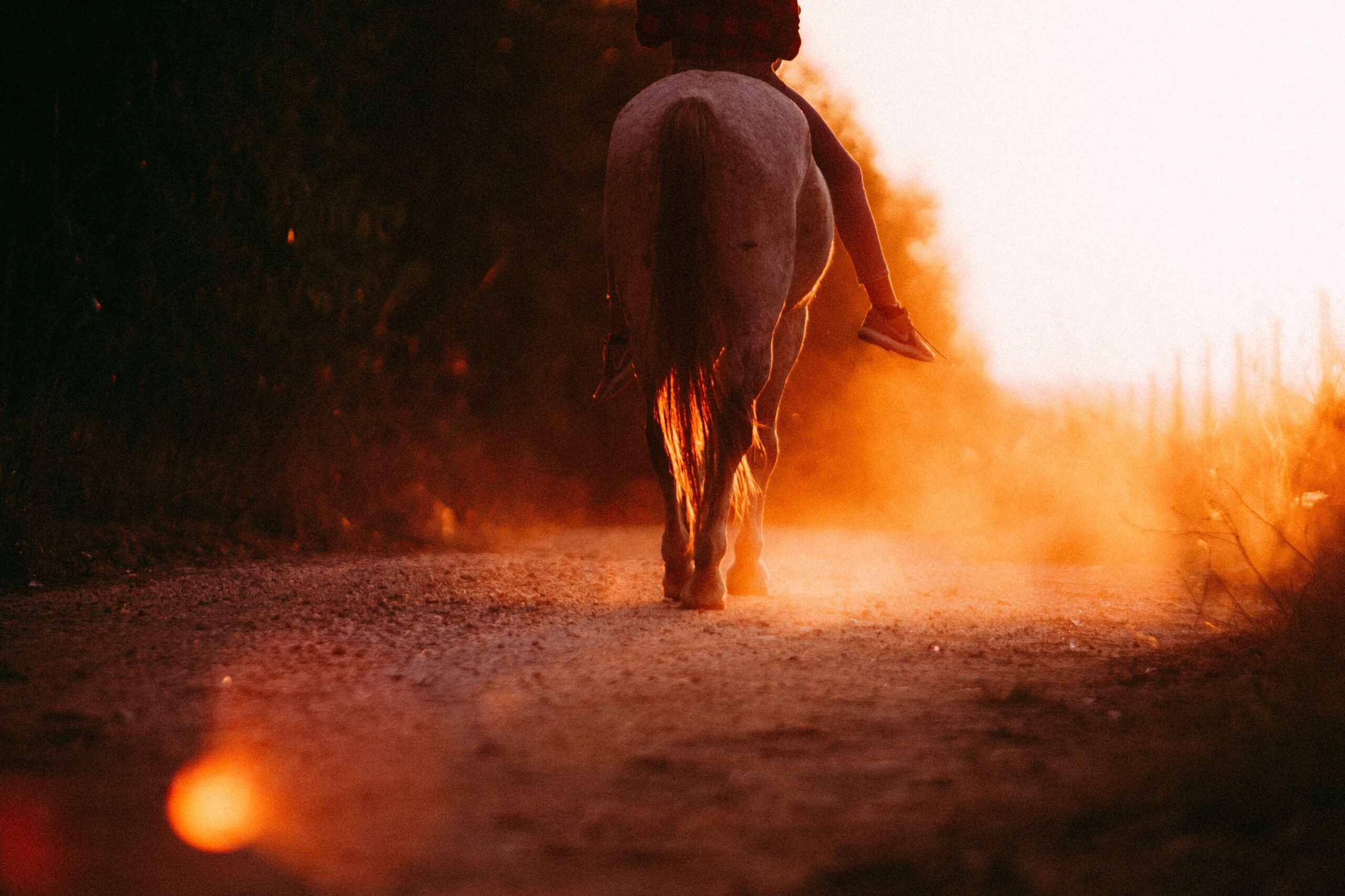 HORSE RIDING IN ZIMBABWE