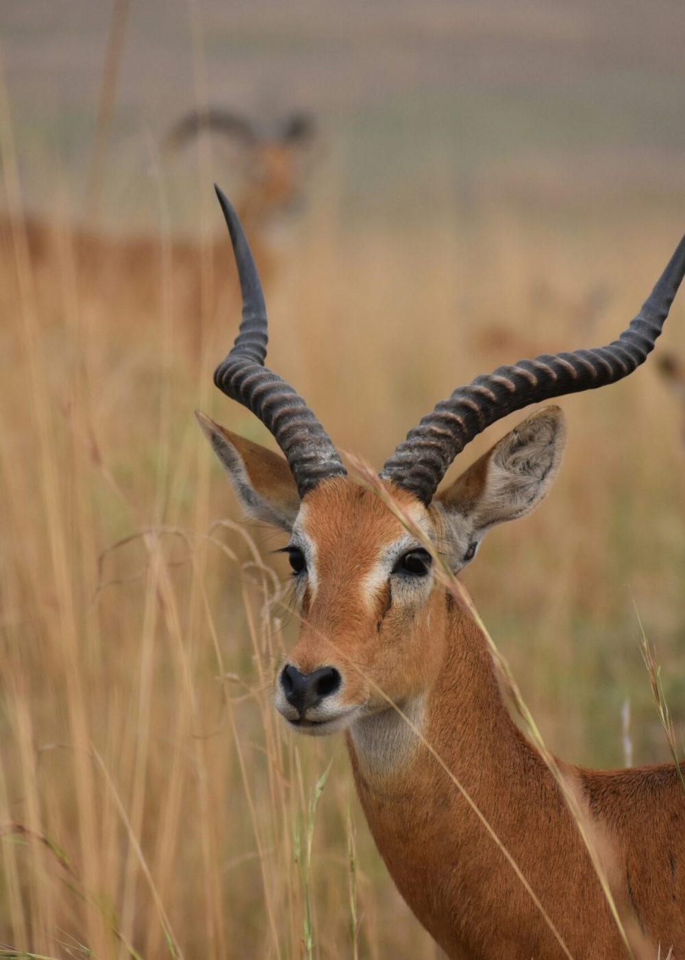 alex-kraft-VQSeTCxtCq8-unsplash