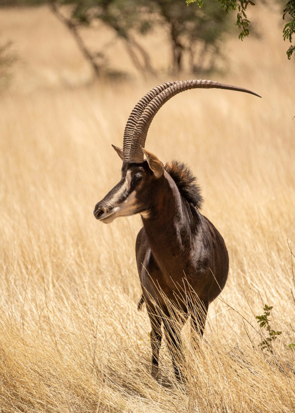 birger-strahl-Qg5N7pzf0A8-unsplash