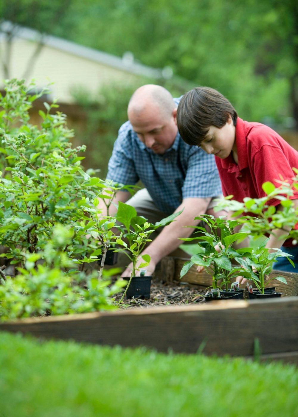 cdc-cdfv65CldQQ-unsplash