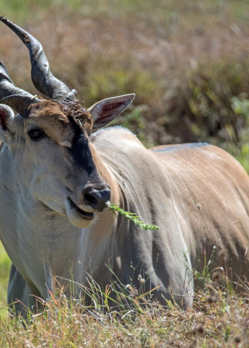 david-clode-f5boQw_ve1s-unsplash