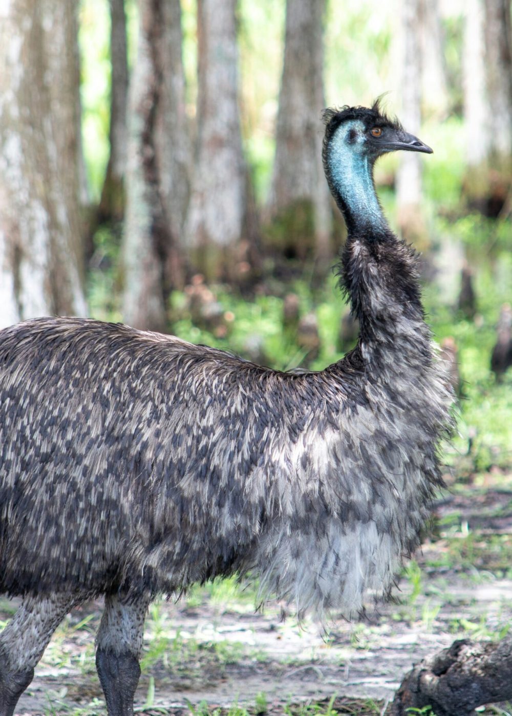 dawn-mcdonald-fjpOwAkkvp0-unsplash