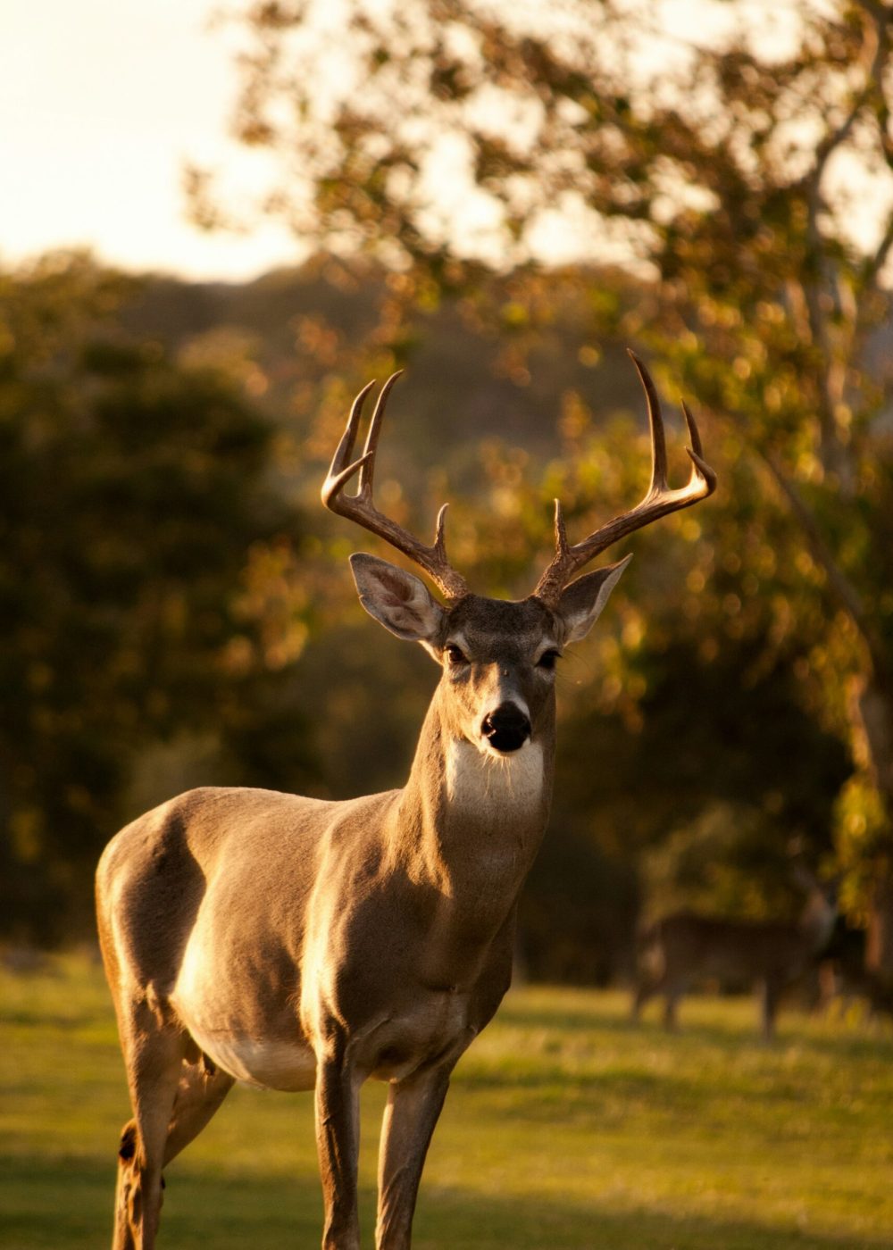 laura-college-K_Na5gCmh38-unsplash