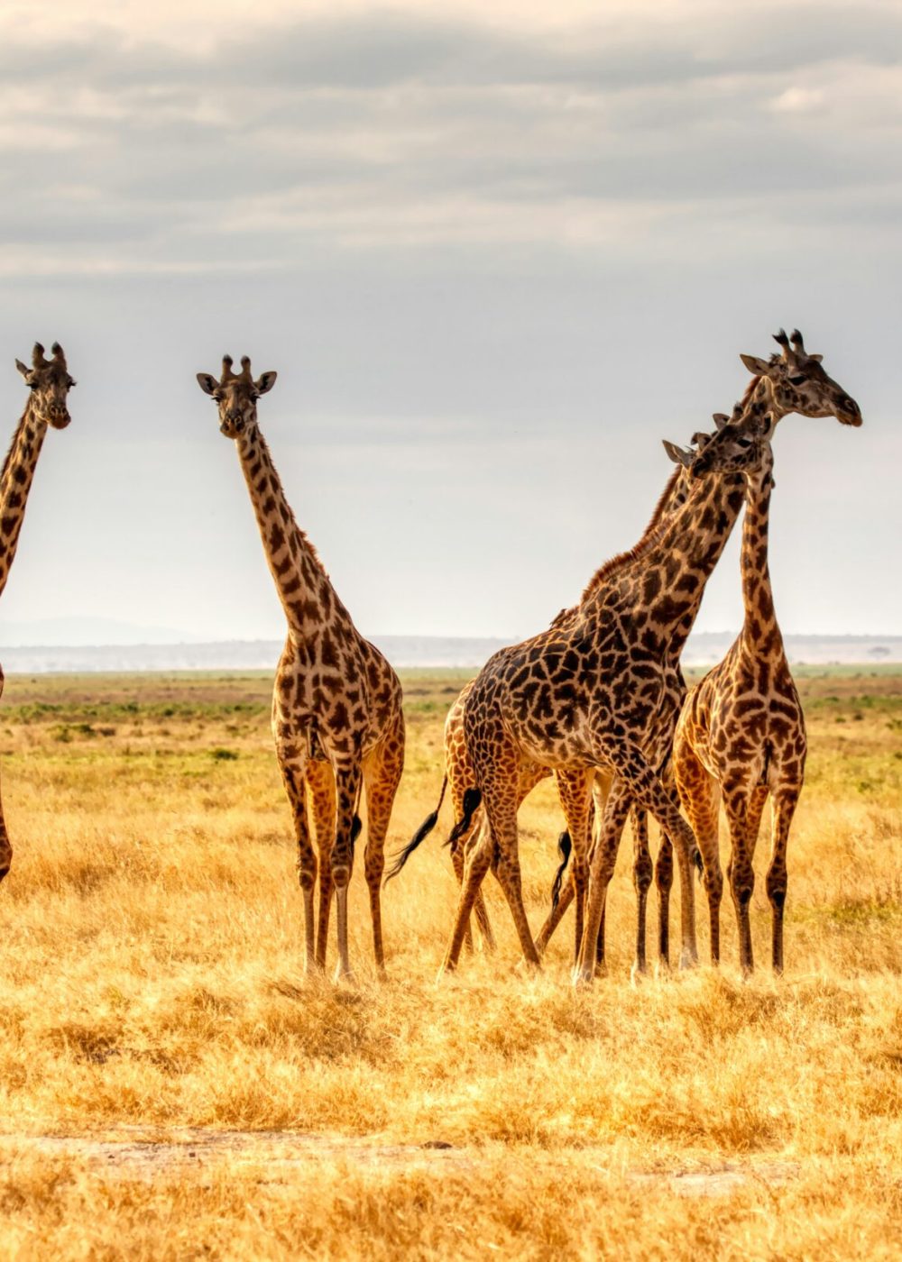 mariola-grobelska-eQdDUdi5qLk-unsplash