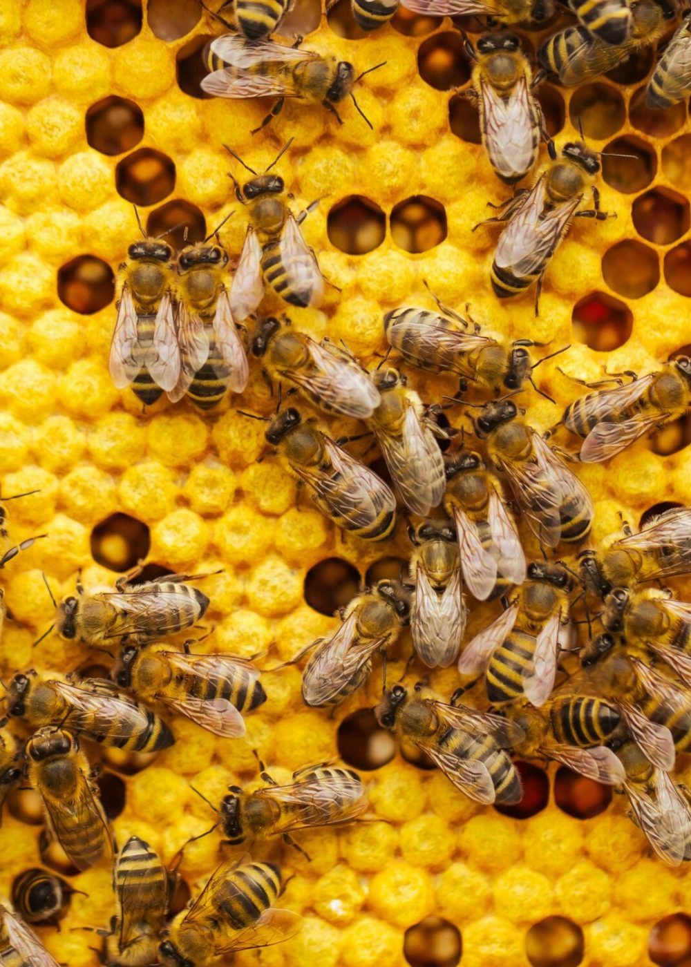 simon-kadula-DIwC450lRGI-unsplash